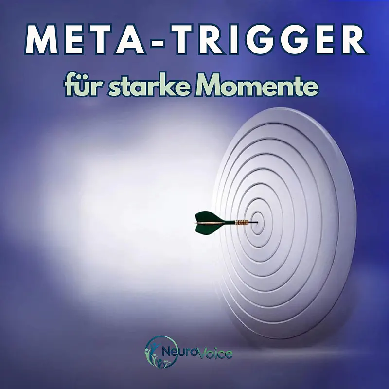 coverbild-triggerpoint800 Meta-Trigger - von Neurovoice